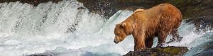 silversea alaska cruise