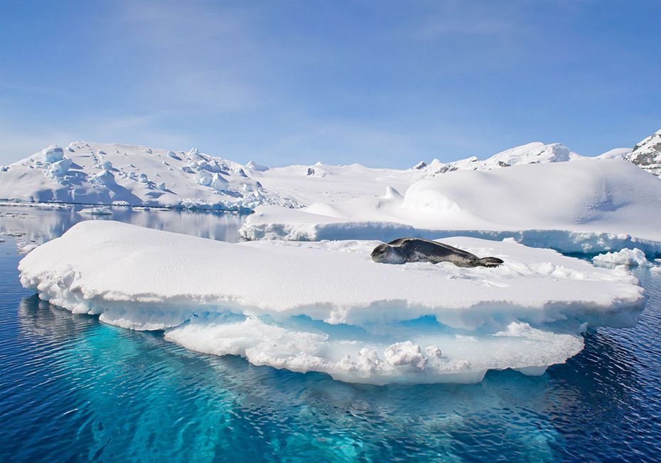 silversea cruises antarctica enjoy luxury antarctica cruises silversea silversea cruises antarctica enjoy luxury antarctica cruises silversea