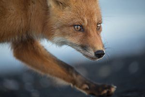 DESTINATIONS AUTOUR DU MONDE