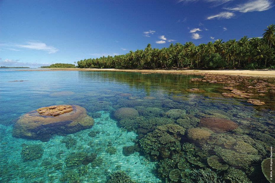 Pacific Island Dating Sites