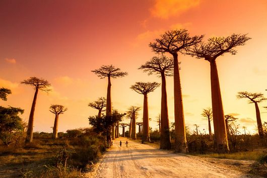 Silversea Expeditions