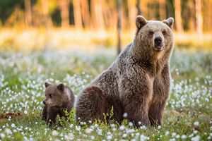 WORLDWIDE DESTINATIONS