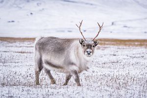 WORLDWIDE DESTINATIONS