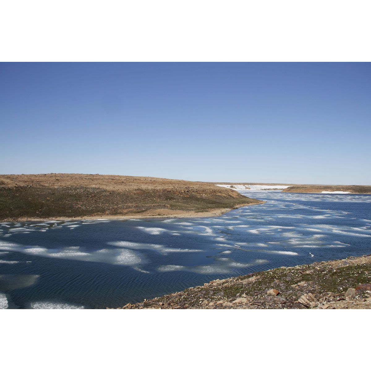 CAMBRIDGE BAY (Nunavut) Silversea