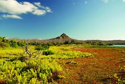 OR210424007 - San Cristobal to Baltra