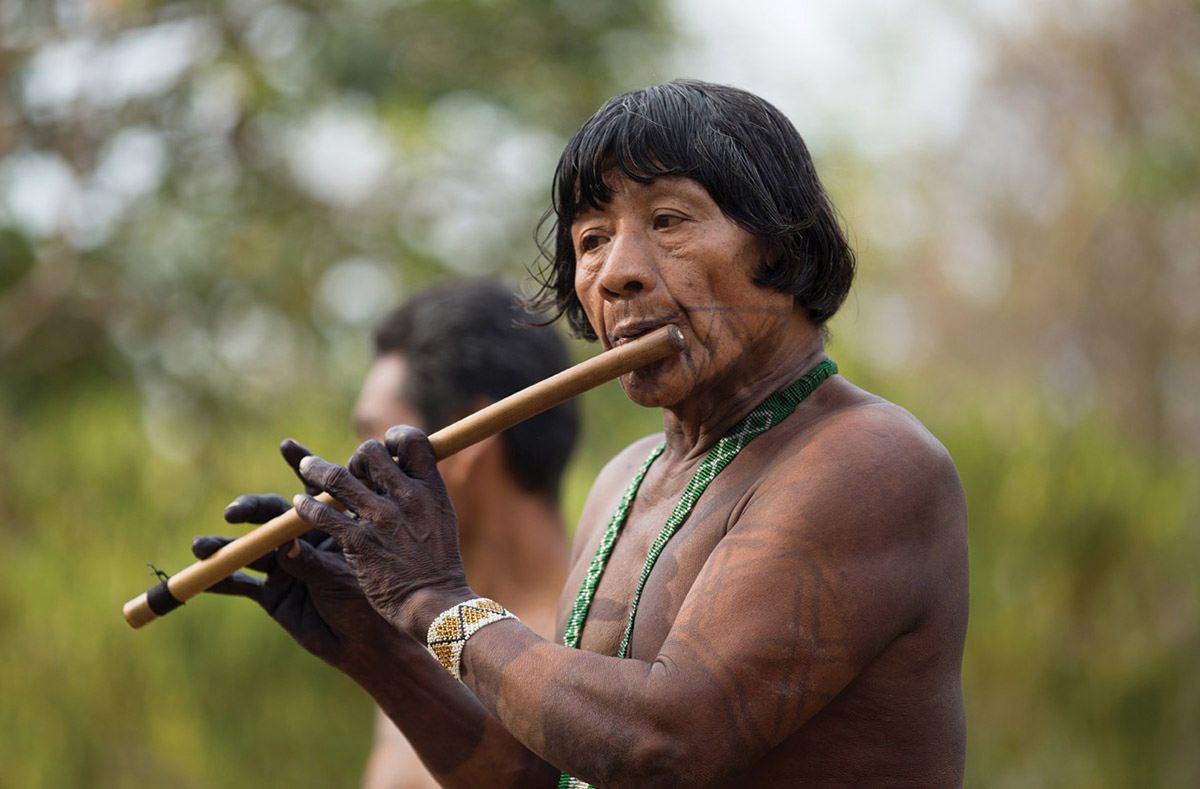 Darien Jungle Silversea