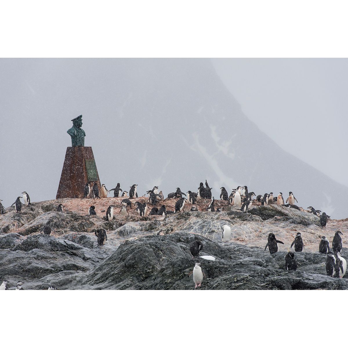 ELEPHANT ISLAND Silversea