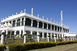 6004 - Sydney to Sydney