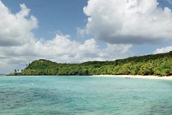 6004 - Sydney to Sydney