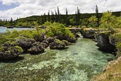 6001 - Sydney to Sydney