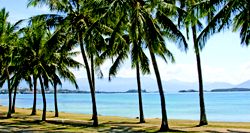 6004 - Sydney to Sydney