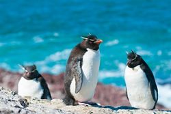 WI201110011 - Buenos Aires to Ushuaia