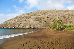 OR210424007 - San Cristobal to Baltra