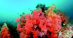 5003 - Laem Chabang to Hong Kong