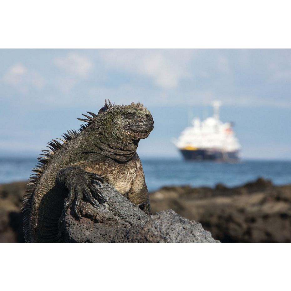 Silver Galapagos Luxurious Expedition Cruise Silversea